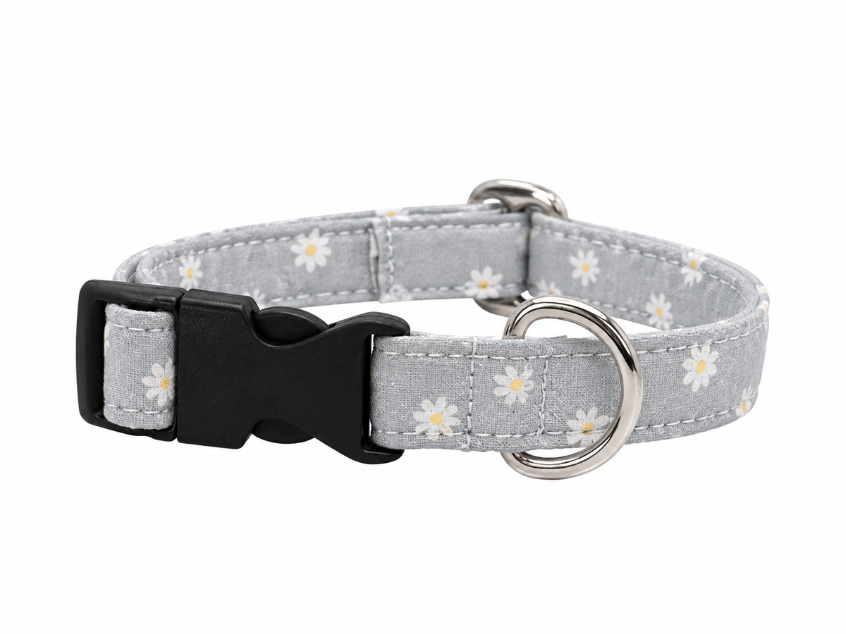 Collar modelo Croqueta